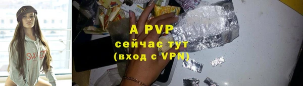 прущие грибы Арсеньев