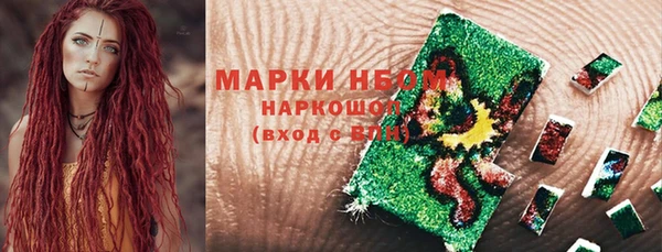 прущие грибы Арсеньев