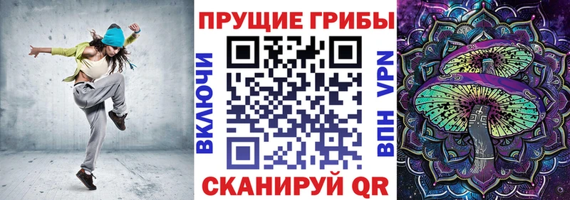 Псилоцибиновые грибы Psilocybe  Велиж 